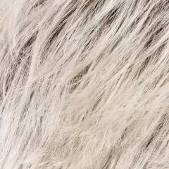 Perruque femme Cool - Coupe courte, 12 coloris variés