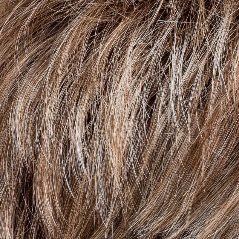 Chat Ellen Wille – Darksand Frosted – détail du coloris
