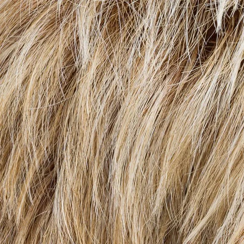 Chat Ellen Wille – Sandyblonde ROOTED – détail du coloris