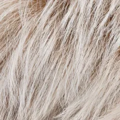 Chat Ellen Wille – Platinblonde ROOTED – détail du coloris