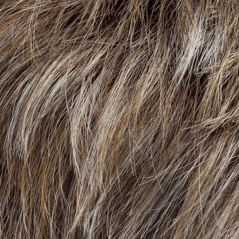 Chat Ellen Wille – Smoke Frosted – détail du coloris