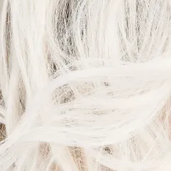 Delight Mono Part Ellen Wille – Platinblonde ROOTED – détail de la couleur