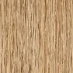 Freedom Ultra Soft Ellen Wille – Sandyblonde ROOTED – détail de la couleur