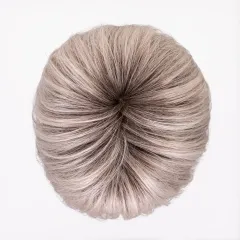 Glam Soft Ellen Wille – Silverblonde ROOTED – détail de la couleur