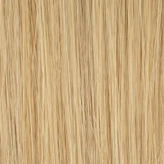 Prestige Deluxe Ellen Wille – Champagne ROOTED – détail de la couleur
