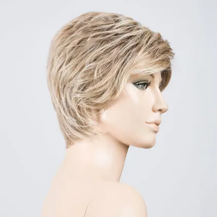 Cover Mono Part Ellen Wille – Sandyblonde ROOTED – vue sur tête mannequin