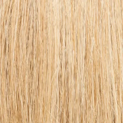 Frame Ellen Wille — Sandyblonde ROOTED — texture exacte du coloris