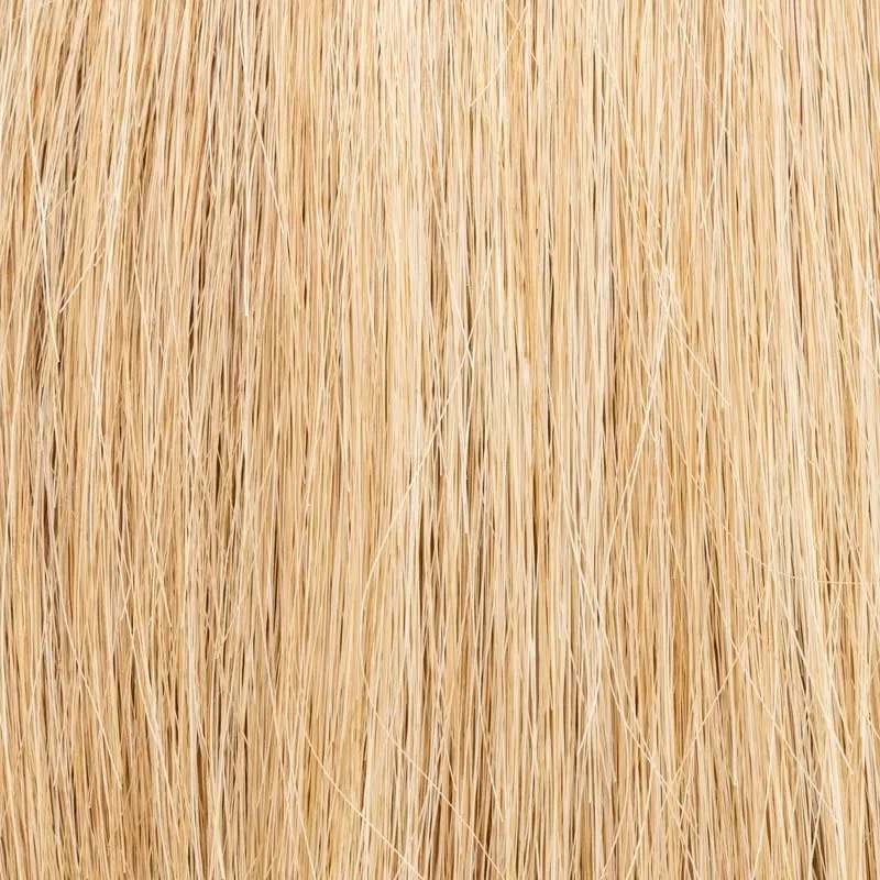 Frame Ellen Wille — Sandyblonde ROOTED — texture exacte du coloris