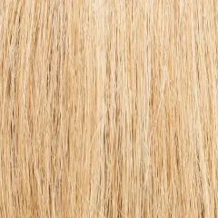 Frame Ellen Wille — Sandyblonde ROOTED — texture exacte du coloris