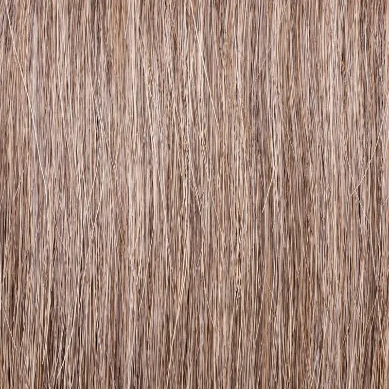 Frame Ellen Wille — Coffeebrown Frosted — texture exacte du coloris