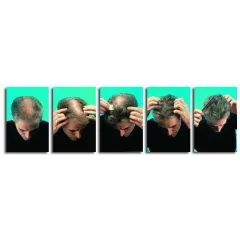 Éponge maquillage Ecobell