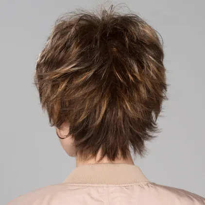 Click - Ellen Wille Hair Power