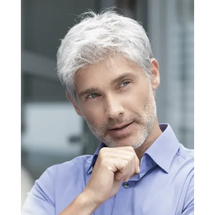 Brad - Ellen Wille hairMania