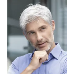 Brad - Ellen Wille hairMania