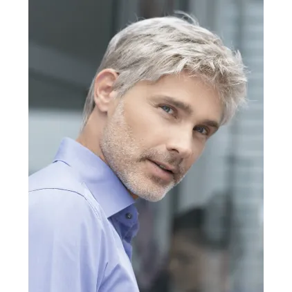 Brad - Ellen Wille hairMania