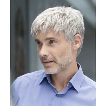 Brad - Ellen Wille hairMania