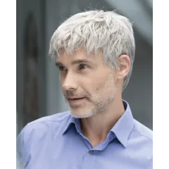 Brad - Ellen Wille hairMania