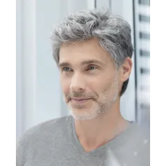 Justin - Ellen Wille hairMANia