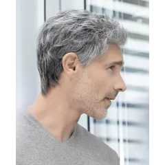 Justin - Ellen Wille hairMANia